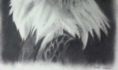 Dibujos