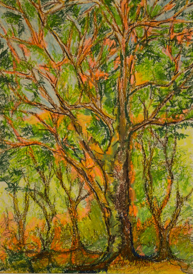 Arboles Pastel Otros Paisaje