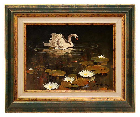 Lonely swan