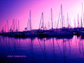 "LOS BARCOS"