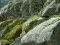 Granito