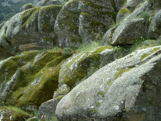 Granito