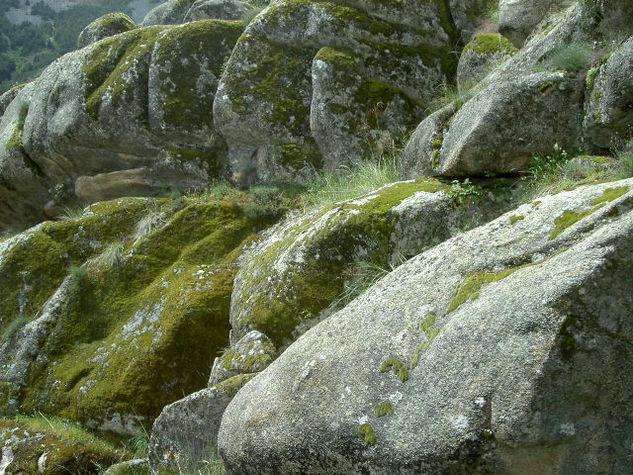 Granito 