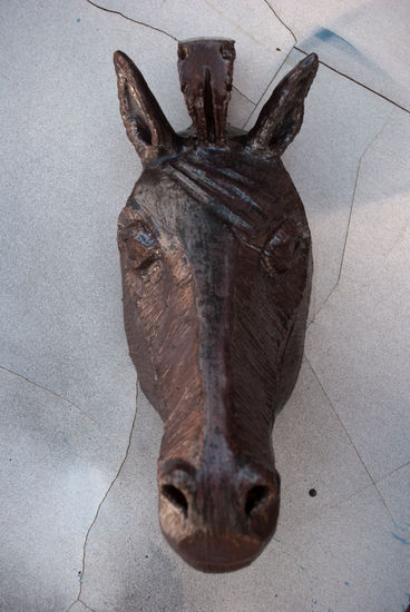 Caballo Boca de Fuente 