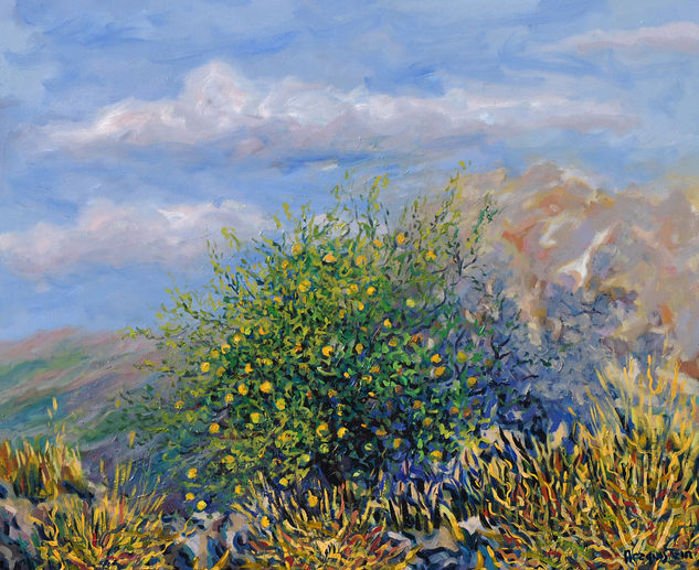 Naranjo al sol Oil Canvas Landscaping