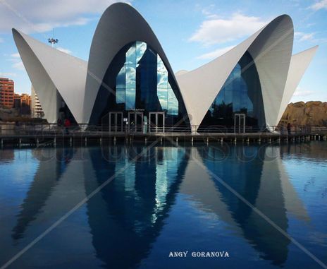 "reflejos"