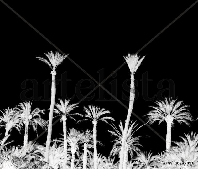 LAS PALMAS I