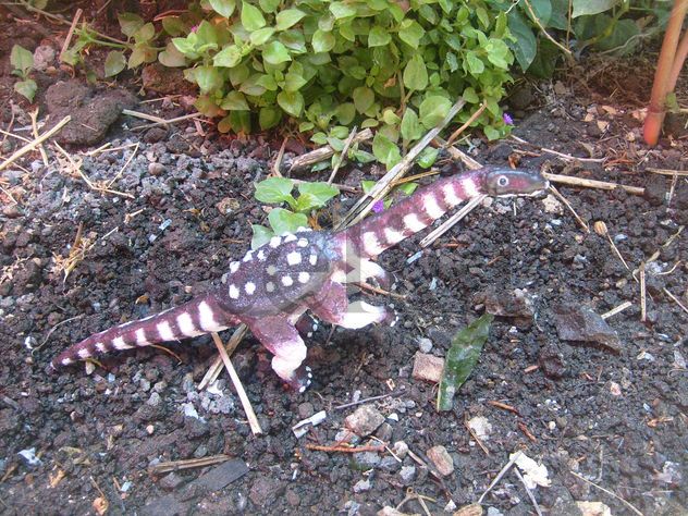 Saltasaurus