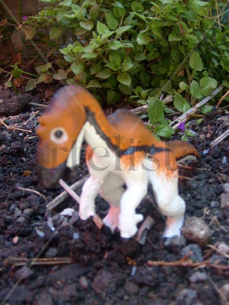 Maiasaura