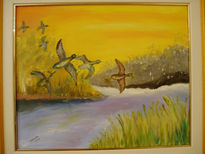 Patos volando