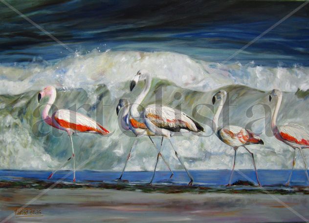 Los Flamencos