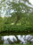 Explosion de naturaleza