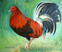 Gallo de pelea