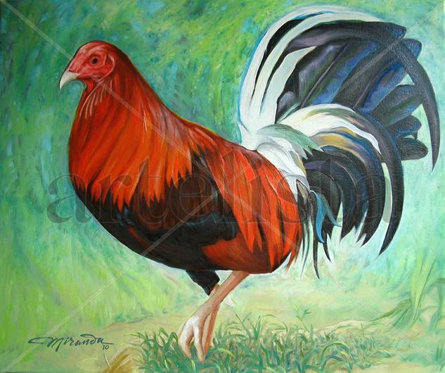 Gallo de pelea Oil Canvas Animals