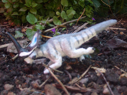 Monoclonius