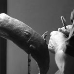 Moby Dick thumbnail 1