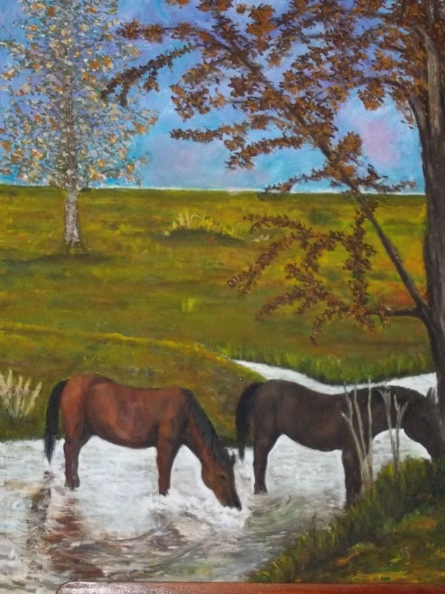 Difrutando del arroyo