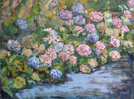 Hortensias