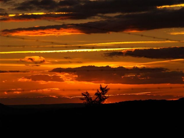 Atardecer tras la alambrada