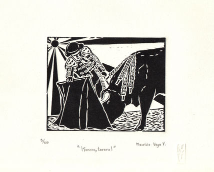 !torero! !torero¡