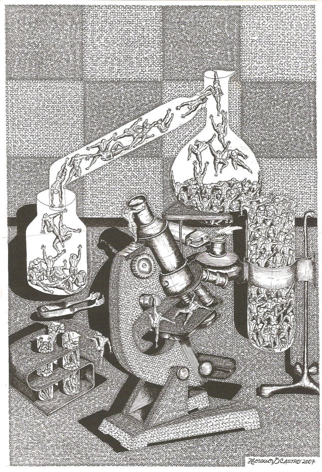EXPERIMENTADOS