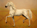 Caballo blanco