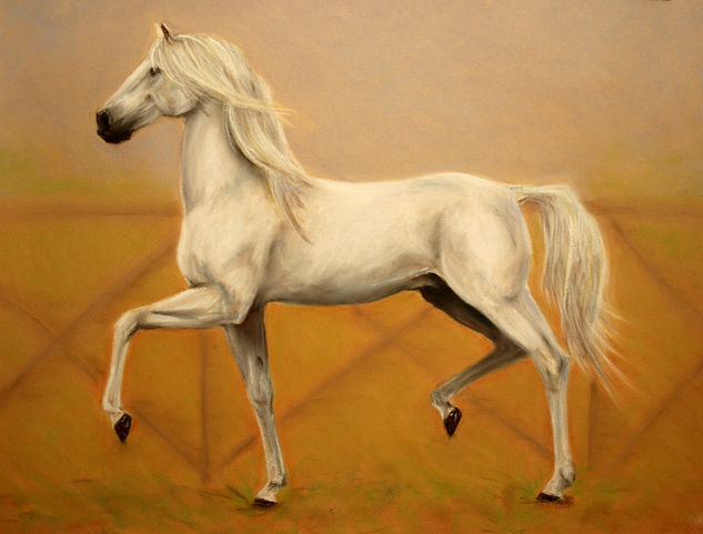 Caballo blanco Pastel Papel Animales