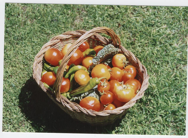 Huerta 