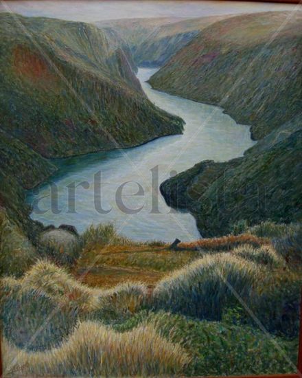 "Arrives del rio Duero" Oil Canvas Landscaping