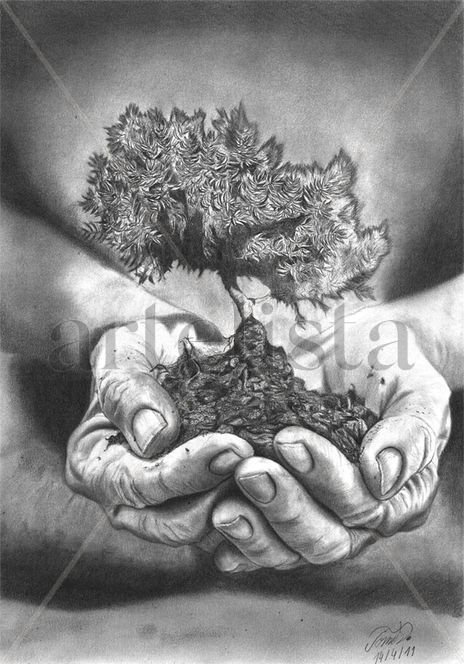 Tree of life