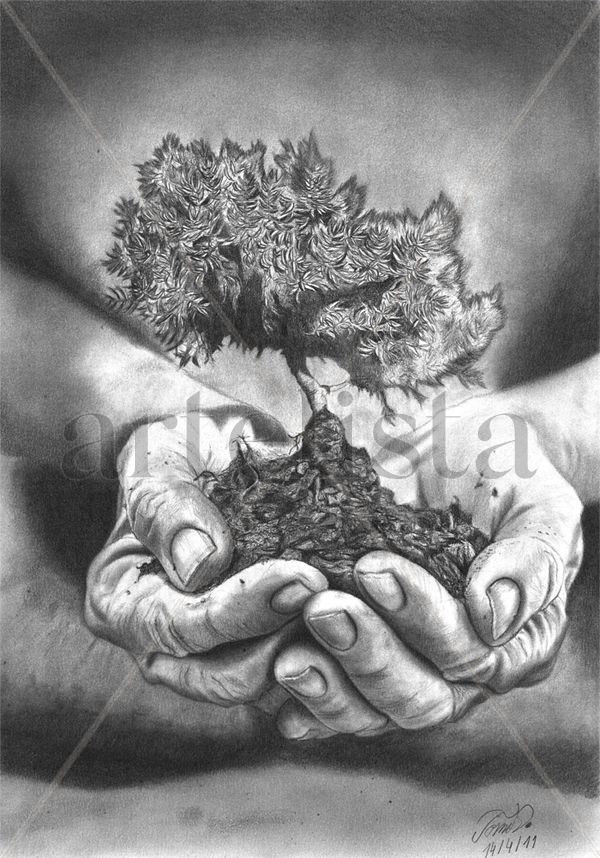 Tree of life