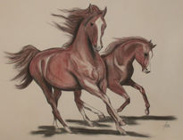 Caballo 5