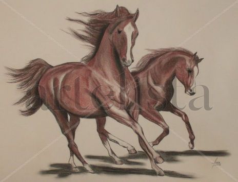 Caballo 5