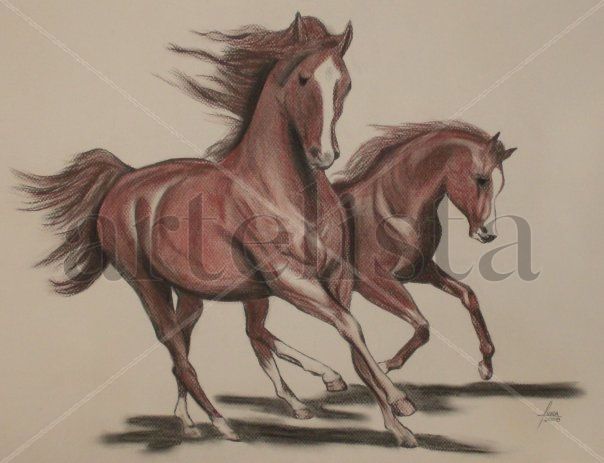 Caballo 5