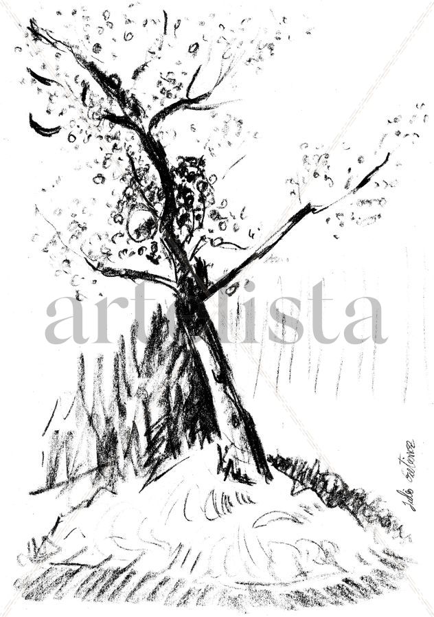 arbol