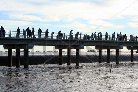 Muelle