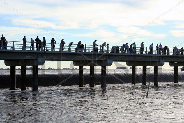 Muelle