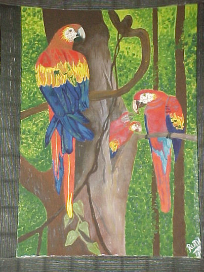 loros Oil Canvas Animals