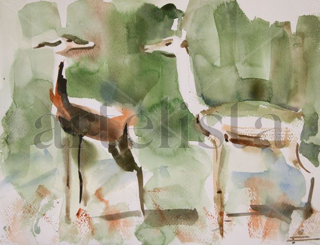 gacelas 1 Watercolour Paper Animals