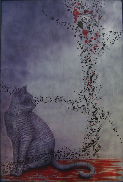 Lo que un gato ve