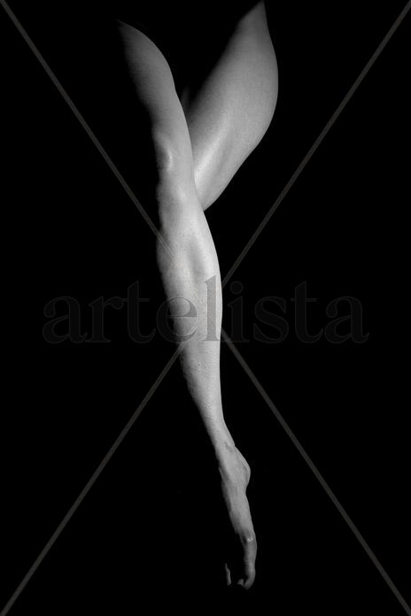 Fine art