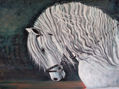 caballo