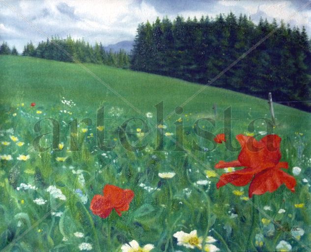 Coquelicot des Alpes (Amapolas, Poppies) Óleo Lienzo Paisaje