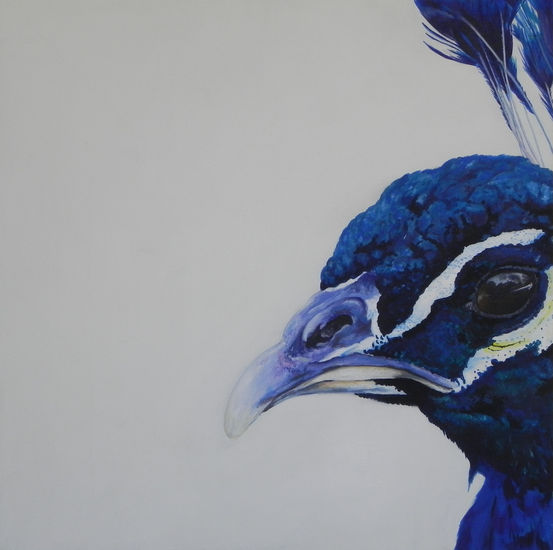 retrato de un pavo real Acrylic Others Animals