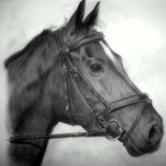 Dibujos thumbnail 2