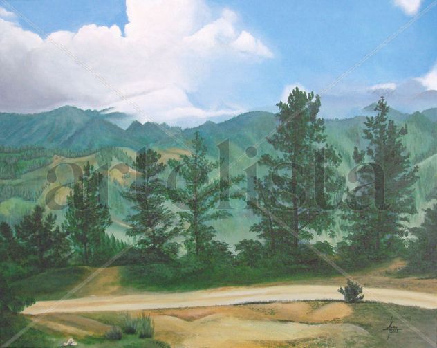 "Camino a Aguas Blancas"