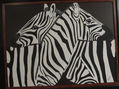 amor en zebras