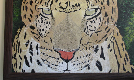 animales