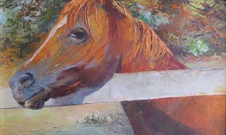 Animales