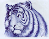 Tigre